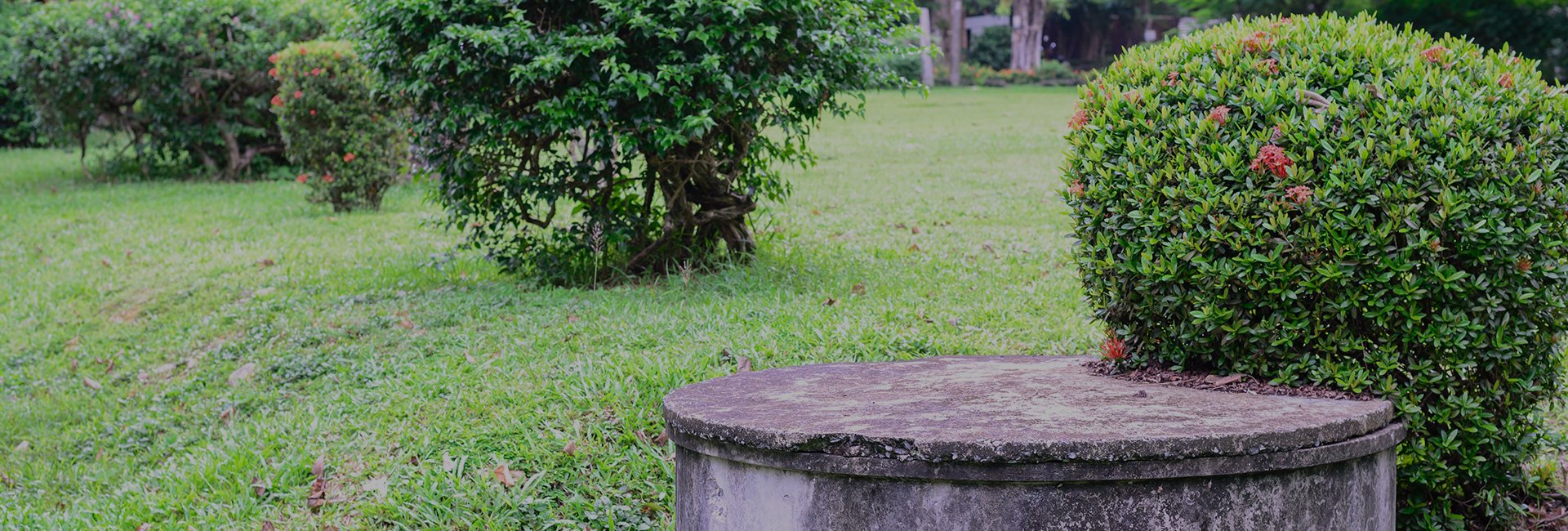 Septic System Maintenance
